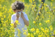 a boy with seasonal allergy